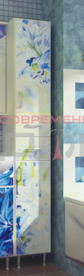 Пенал №4 300 Фотопечать (Василек)